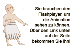 Unten bekommen Sie den Flashplayer